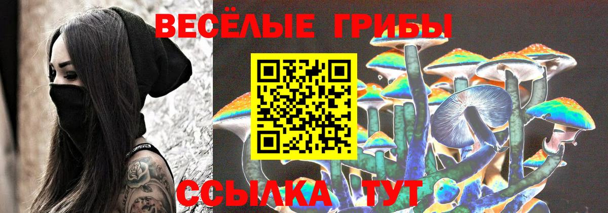 Галлюциногенные грибы прущие грибы  Вход с VPN  Псилоцибиновые грибы GOLDEN TEACHER  Волоколамск 